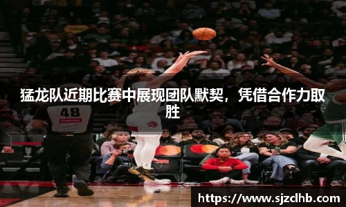 猛龙队近期比赛中展现团队默契，凭借合作力取胜